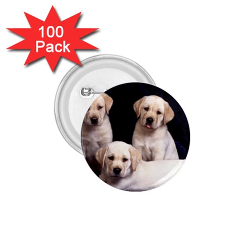 Labrador Front