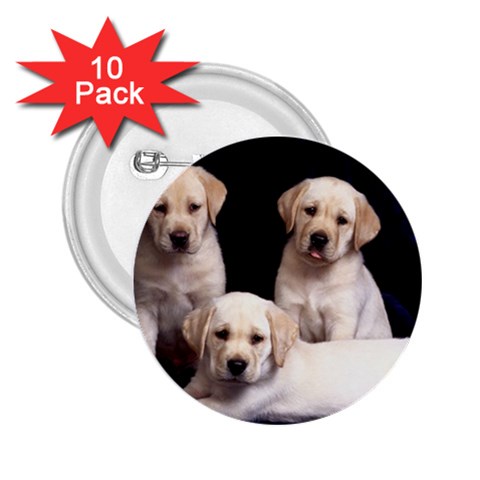 Labrador Front