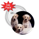 Labrador-Puppy 3 2.25  Button (100 pack)