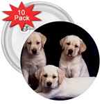 Labrador-Puppy 3 3  Button (10 pack)