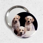 Labrador-Puppy 3 2.25  Handbag Mirror
