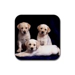 Labrador-Puppy 3 Rubber Coaster (Square)