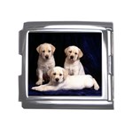 Labrador-Puppy 3 Mega Link Italian Charm (18mm)