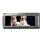Labrador-Puppy 3 Superlink Italian Charm (9mm)
