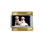 Labrador-Puppy 3 Gold Trim Italian Charm (9mm)
