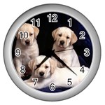 Labrador-Puppy 3 Wall Clock (Silver)