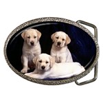 Labrador-Puppy 3 Belt Buckle