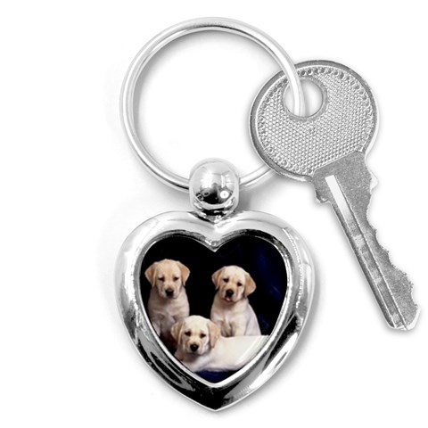 Labrador Front