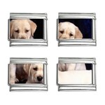 Labrador-Puppy 3 9mm Italian Charm (4 pack)
