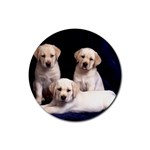 Labrador-Puppy 3 Rubber Coaster (Round)