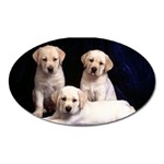 Labrador-Puppy 3 Magnet (Oval)