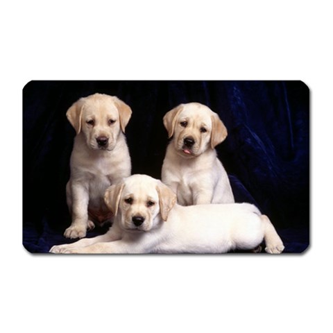 Labrador Front