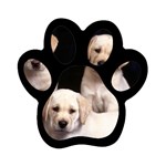 Labrador-Puppy 3 Magnet (Paw Print)
