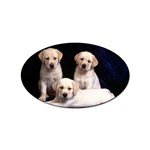 Labrador-Puppy 3 Sticker Oval (100 pack)