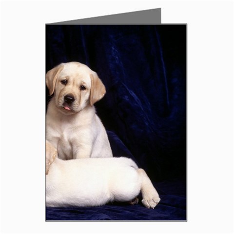 Labrador Left