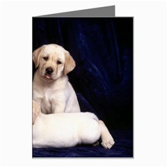 Labrador Left