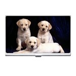Labrador-Puppy 3 Business Card Holder