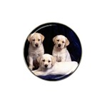 Labrador-Puppy 3 Hat Clip Ball Marker (10 pack)