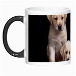 Labrador-Puppy 3 Morph Mug