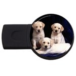 Labrador-Puppy 3 USB Flash Drive Round (4 GB)