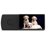 Labrador-Puppy 3 USB Flash Drive Rectangular (4 GB)