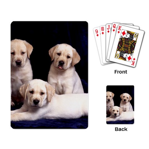 Labrador Back