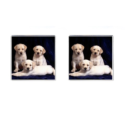 Labrador Front(Pair)