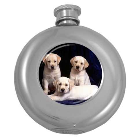 Labrador Front