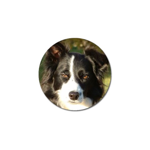 Border Collie Golf Ball Marker (4 pack) from ArtsNow.com Front