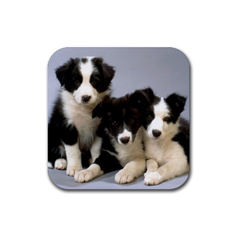 Border Collie Puppies Rubber Coaster (Square) from ArtsNow.com Front