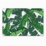 Banana Leaf Postcard 4 x 6  (Pkg of 10)