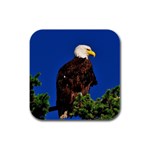 BLUESTSKIESINSEATTLEANDBEAUTIFULEAGLE Rubber Square Coaster (4 pack)