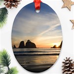 RIALTOBEACHNEARFORKS Ornament (Oval)