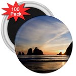 RIALTOBEACHNEARFORKS 3  Magnet (100 pack)