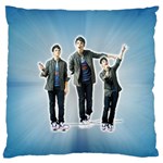 Jonas-Brothers-the-jonas-brothers-1409578-1024-768 Standard Flano Cushion Case (Two Sides)