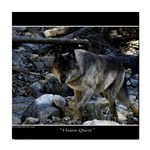 Vision Quest Grey Wolf Tile Coaster