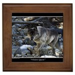 Vision Quest Grey Wolf Framed Tile