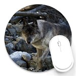 Vision Quest Grey Wolf Round Mousepad