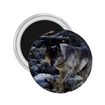 Vision Quest Grey Wolf 2.25  Magnet