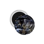 Vision Quest Grey Wolf 1.75  Magnet