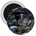 Vision Quest Grey Wolf 3  Magnet