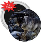 Vision Quest Grey Wolf 3  Magnet (10 pack)