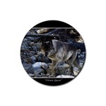 Vision Quest Grey Wolf Rubber Coaster (Round)