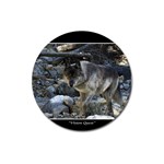 Vision Quest Grey Wolf Magnet 3  (Round)