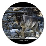 Vision Quest Grey Wolf Magnet 5  (Round)