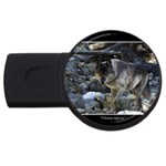 Vision Quest Grey Wolf USB Flash Drive Round (4 GB)