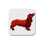 long haired daschund Rubber Square Coaster (4 pack)