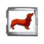 long haired daschund Mega Link Italian Charm (18mm)