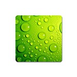 Green Water Drops Magnet (Square)