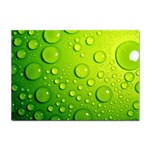 Green Water Drops Sticker A4 (10 pack)